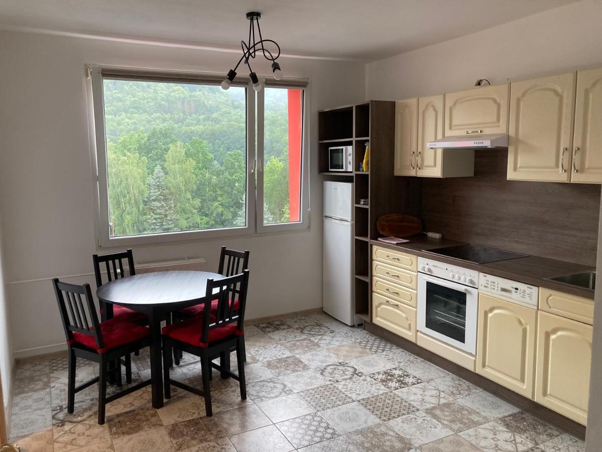 U Kosmonauta Appartement Decin Buitenkant foto