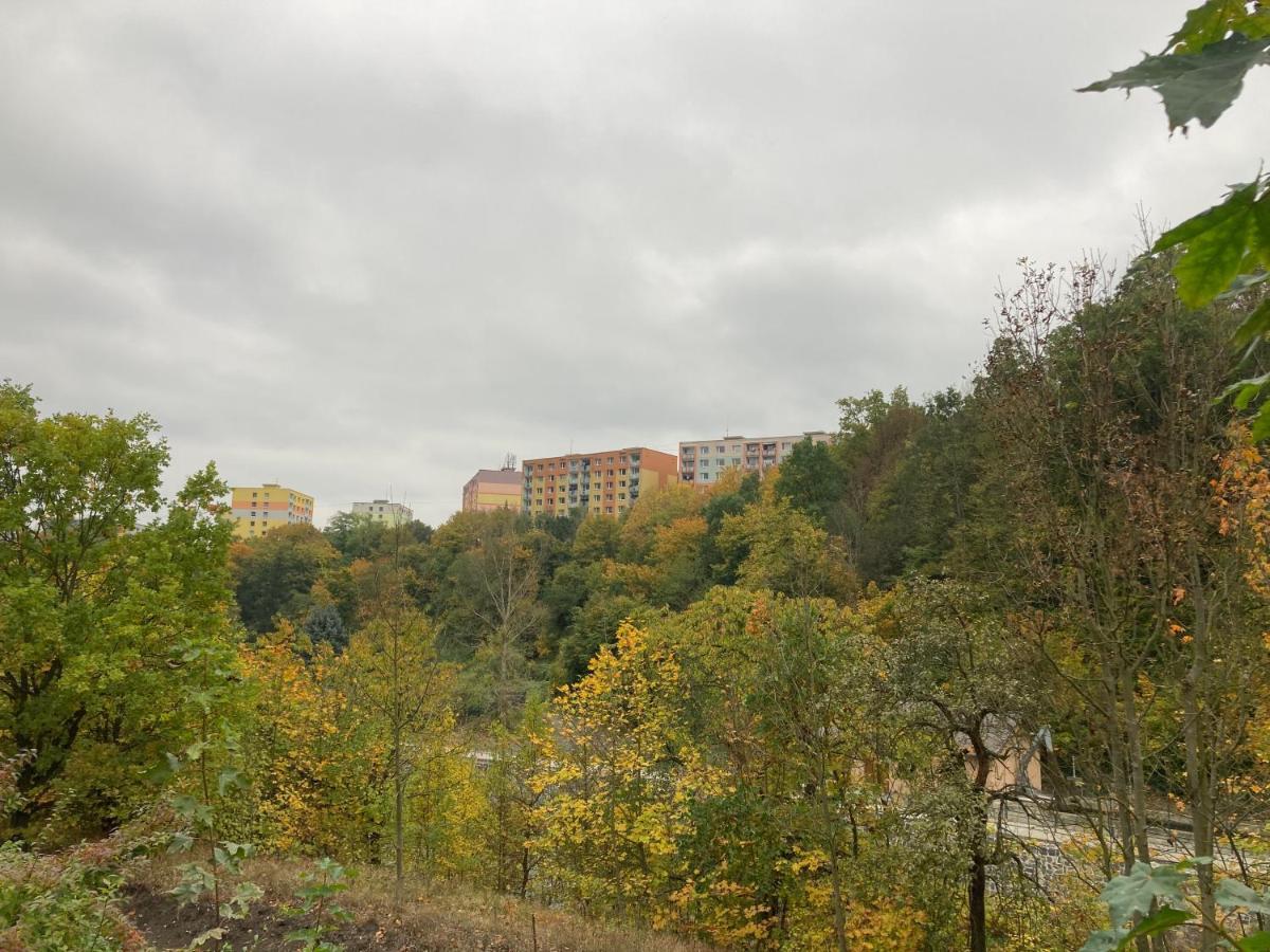 U Kosmonauta Appartement Decin Buitenkant foto